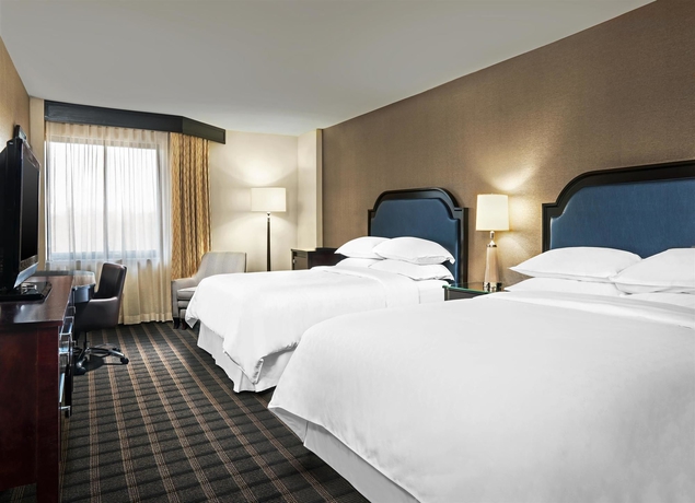 Imagen de la habitación del Hotel Sheraton Charlotte Airport. Foto 8