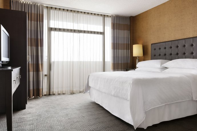 Imagen de la habitación del Hotel Sheraton Charlotte Hotel. Foto 11