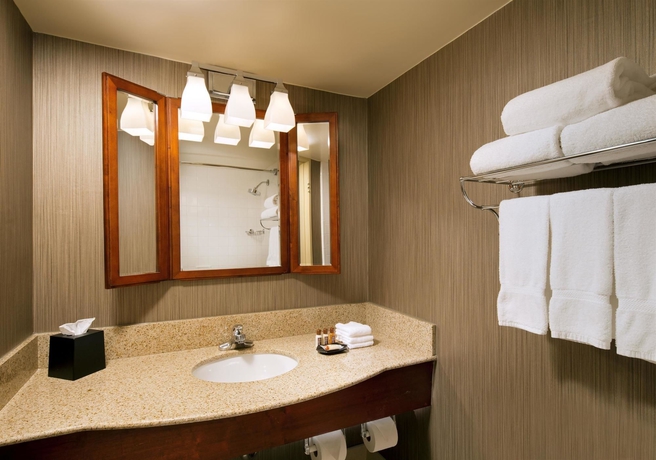 Imagen de la habitación del Hotel Sheraton Dallas By The Galleria. Foto 7