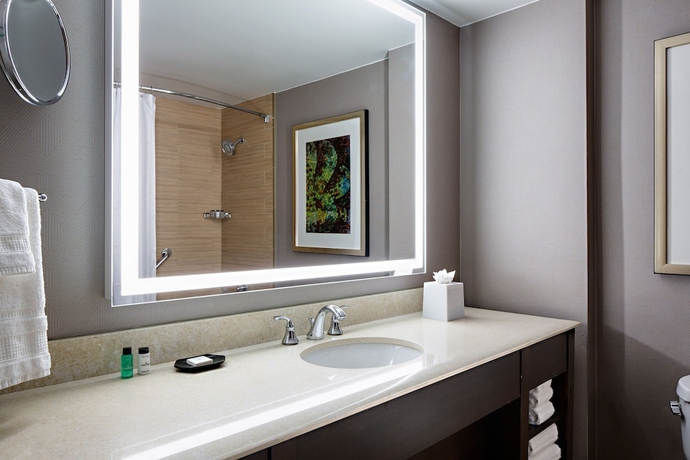 Imagen de la habitación del Hotel Sheraton Dallas. Foto 8