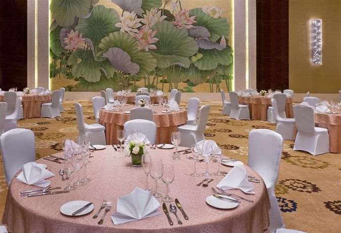 Imagen general del Hotel Sheraton Daqing. Foto 4