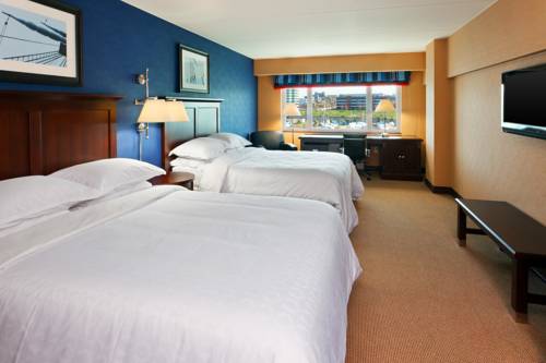 Imagen de la habitación del Hotel Sheraton Erie Bayfront. Foto 4