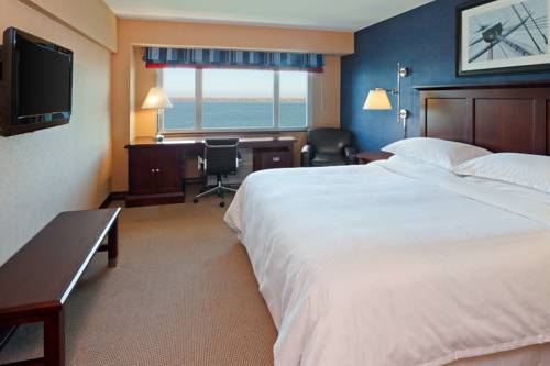 Imagen de la habitación del Hotel Sheraton Erie Bayfront. Foto 6
