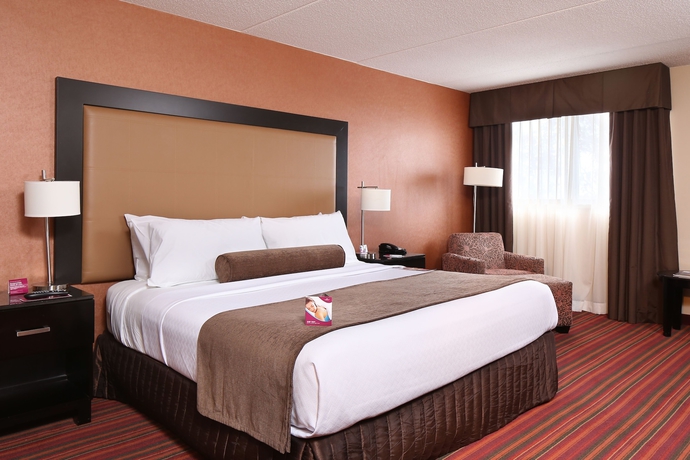 Imagen de la habitación del Hotel Sheraton Grand Rapids Airport Hotel,. Foto 4