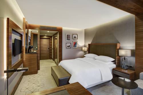 Imagen de la habitación del Hotel Sheraton Grand Samsun. Foto 5