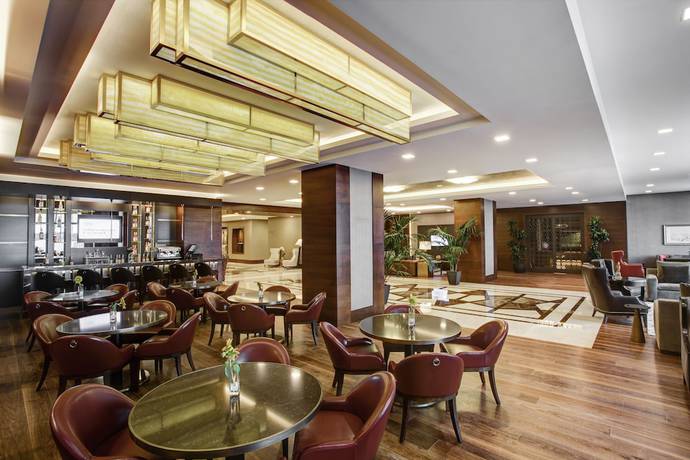 Imagen de los interiores del Hotel Sheraton Grand Samsun. Foto 12