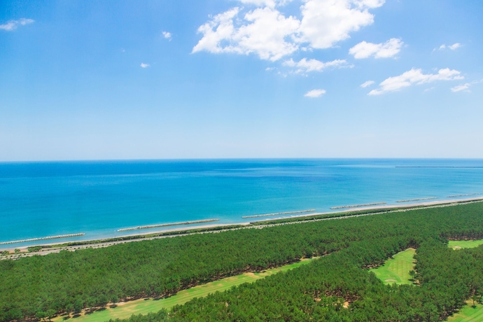 Imagen de la habitación del Hotel Sheraton Grande Ocean Resort. Foto 4