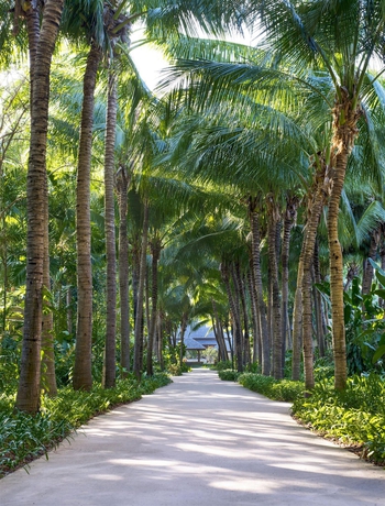 Imagen de los exteriores del Hotel Sheraton Hua Hin Pranburi Villas. Foto 11