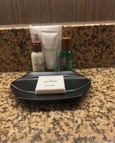 Imagen de la habitación del Hotel Sheraton Indianapolis City Centre. Foto 7