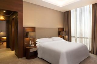 Imagen general del Hotel Sheraton Istanbul Atasehir Hotel. Foto 27