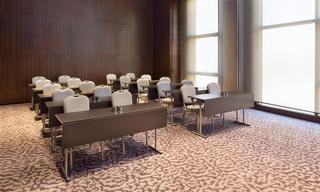 Imagen general del Hotel Sheraton Istanbul Atasehir Hotel. Foto 38