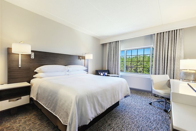 Imagen de la habitación del Hotel Sheraton Jacksonville. Foto 10