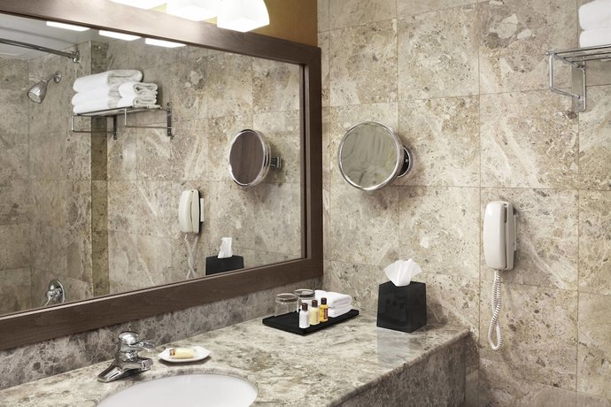 Imagen de la habitación del Hotel Sheraton Laval. Foto 7