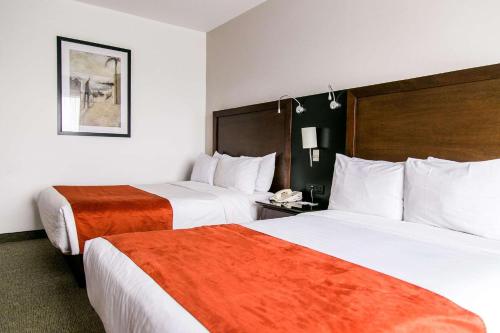 Imagen de la habitación del Hotel Sheraton Leon. Foto 19