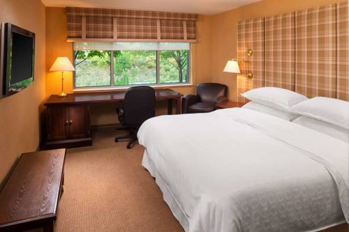 Imagen de la habitación del Hotel Sheraton Minneapolis Midtown. Foto 4