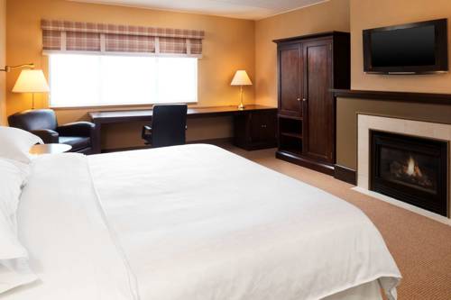 Imagen de la habitación del Hotel Sheraton Minneapolis Midtown. Foto 7