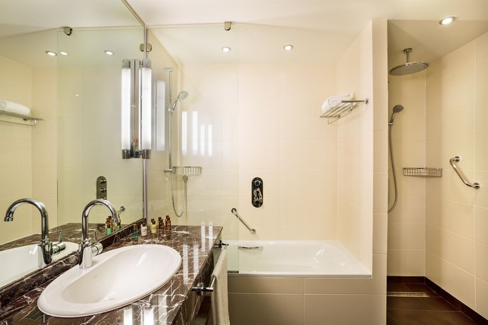 Imagen de la habitación del Hotel Sheraton Moscow Sheremetyevo Airport. Foto 2