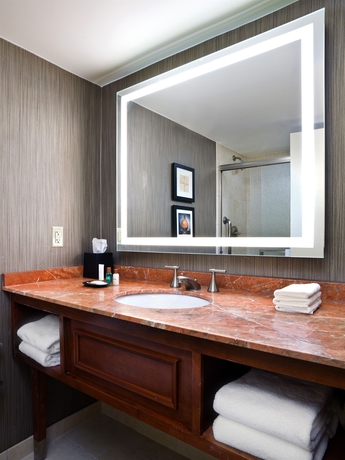 Imagen de la habitación del Hotel Sheraton Niagara Falls. Foto 10