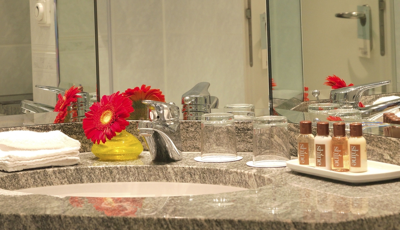 Imagen de la habitación del Hotel Sheraton Offenbach. Foto 12