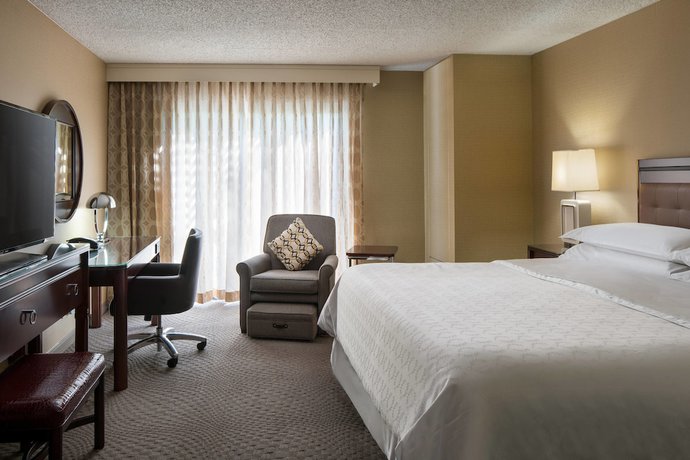 Imagen de la habitación del Hotel Sheraton Palo Alto. Foto 2