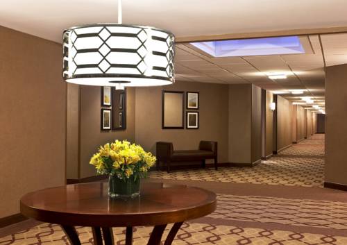Imagen de la habitación del Hotel Sheraton Parsippany. Foto 9