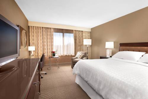 Imagen de la habitación del Hotel Sheraton Reston. Foto 3