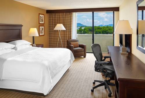 Imagen general del Hotel Sheraton Roanoke And Conference Center. Foto 1