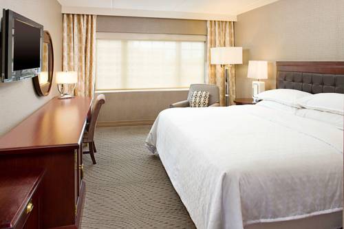 Imagen de la habitación del Hotel Sheraton Rockville. Foto 5