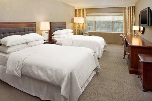 Imagen de la habitación del Hotel Sheraton Rockville. Foto 6