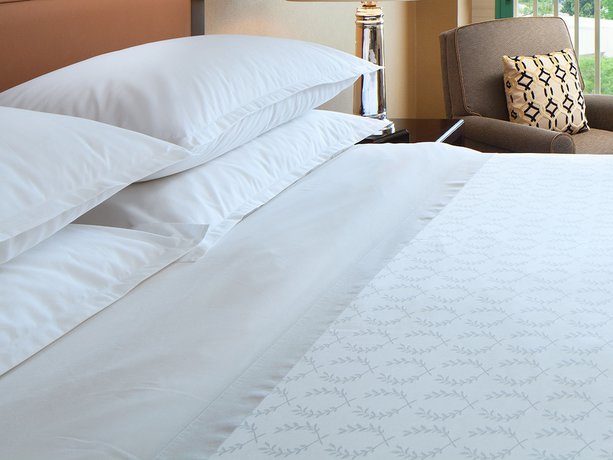 Imagen de la habitación del Hotel Sheraton San Jose. Foto 4