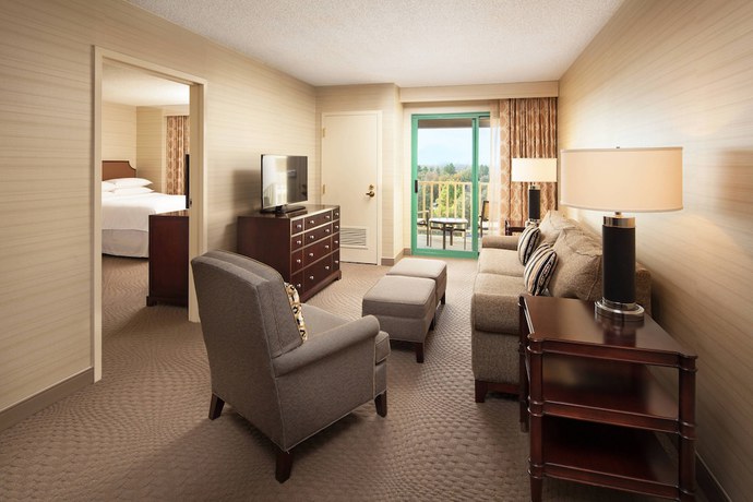 Imagen de la habitación del Hotel Sheraton San Jose. Foto 6