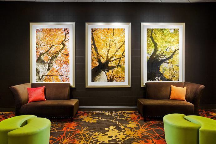 Imagen de los interiores del Hotel Sheraton Springfield Monarch Place. Foto 17