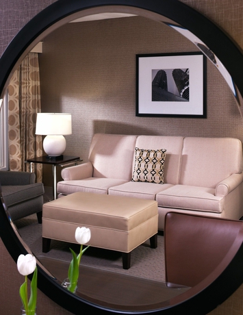 Imagen de los interiores del Hotel Sheraton Suites Chicago O'hare. Foto 14