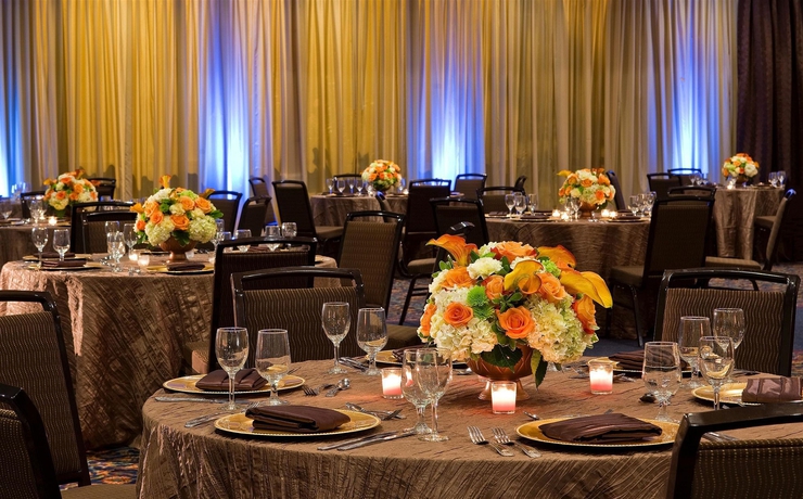 Imagen de los interiores del Hotel Sheraton Tampa Brandon Hotel. Foto 11