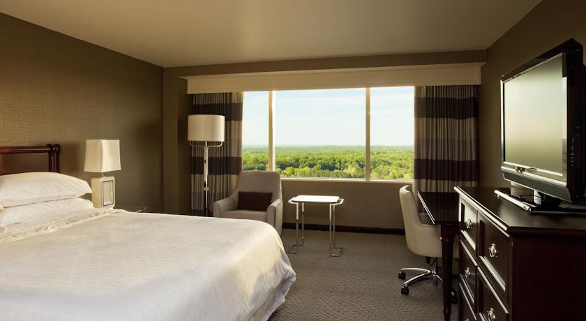 Imagen general del Hotel Sheraton Tysons. Foto 5