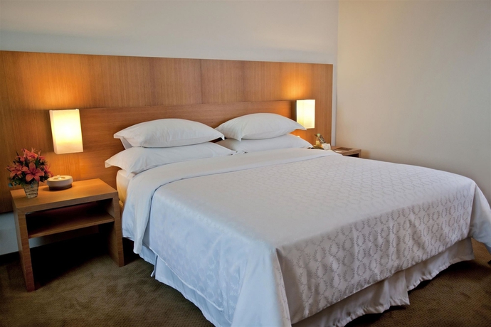 Imagen de la habitación del Hotel Sheraton Vitoria. Foto 10