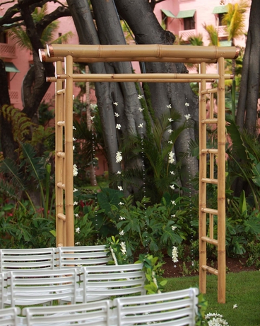 Imagen de los exteriores del Hotel Sheraton Waikiki. Foto 9