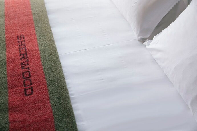 Imagen de la habitación del Hotel Sherwood. Foto 14