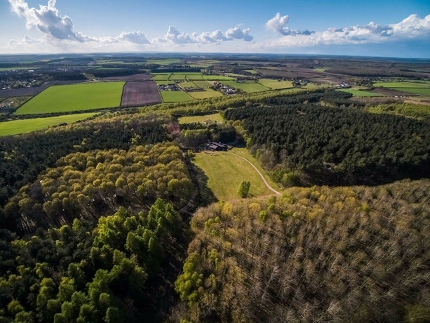 Imagen general del Hotel Sherwood Forest Golden Oak. Foto 4