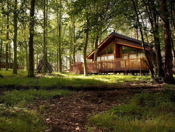 Imagen general del Hotel Sherwood Forest Golden Oak. Foto 6
