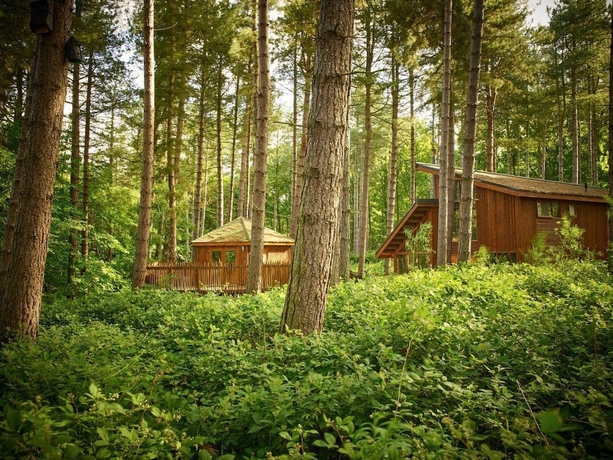 Imagen general del Hotel Sherwood Forest Golden Oak. Foto 7