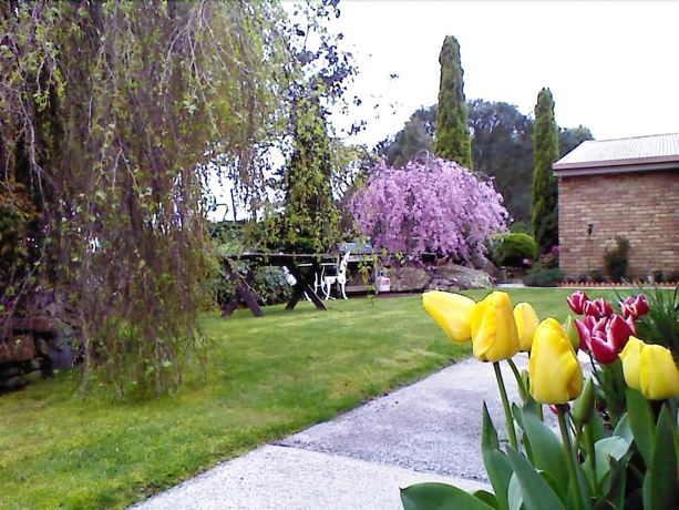 Imagen general del Hotel Sherwood View Accommodation. Foto 1