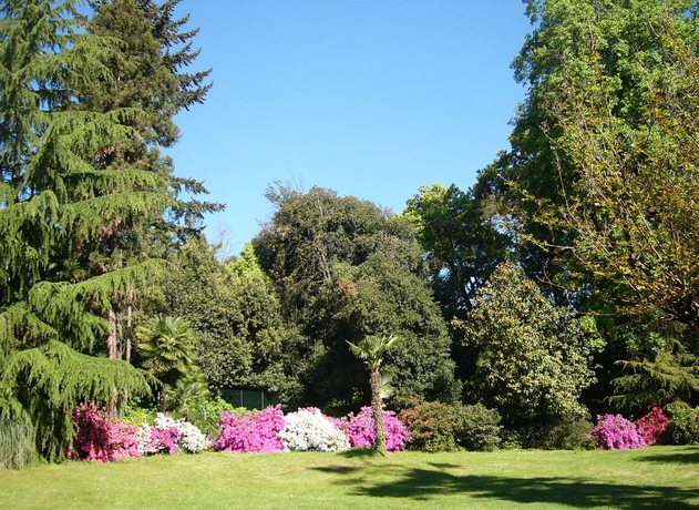 Imagen de los exteriores del Hotel Shg Villa Carlotta. Foto 11