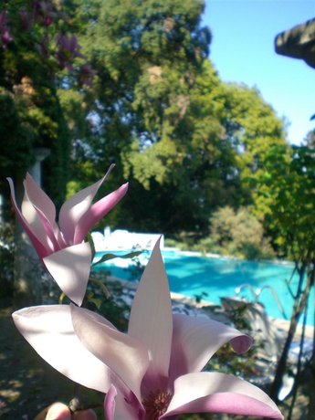 Imagen de la piscina del Hotel Shg Villa Carlotta. Foto 16