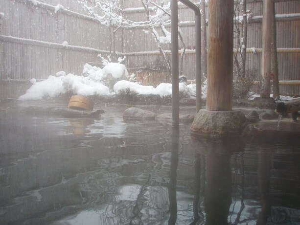 Imagen general del Hotel Shibu. Foto 3