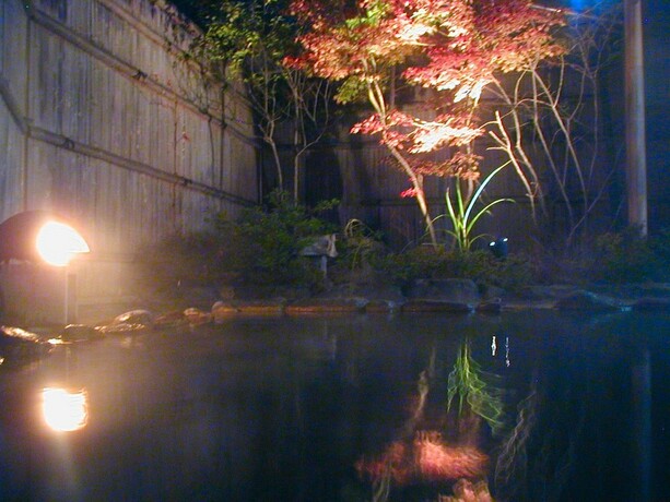Imagen general del Hotel Shibu. Foto 5