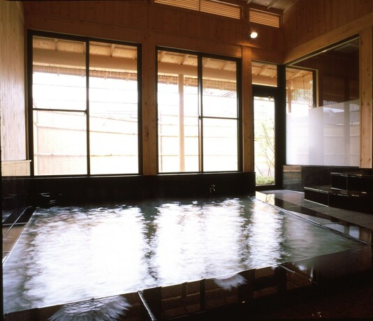 Imagen de la piscina del Hotel Shibu. Foto 35