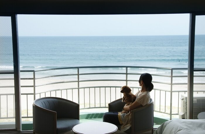 Imagen de la habitación del Hotel Shibugoe Onjuku. Foto 17