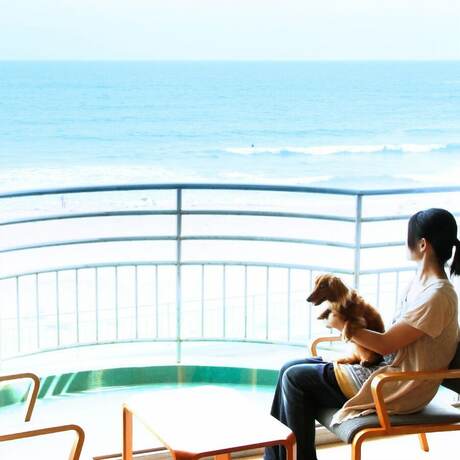 Imagen de la habitación del Hotel Shibugoe Onjuku. Foto 23