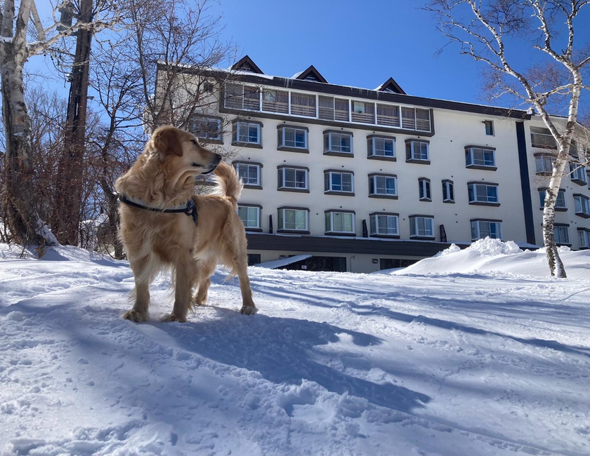 Imagen general del Hotel Shiga Lake. Foto 6